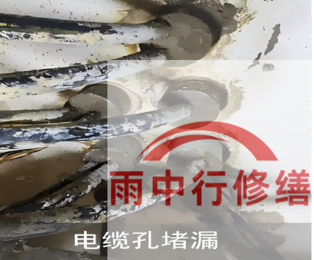 浙江电缆线空洞堵漏加固案例