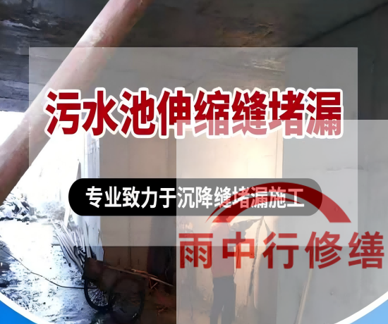 浙江某污水处理厂钢筋混凝土池堵漏案例